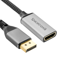 DisplayPort-Stecker