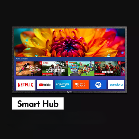 Telewizor Zewnętrzny 65" Sylvox 4K, 2000 nitów