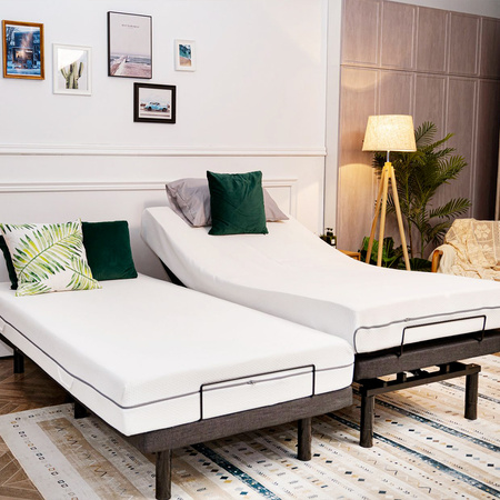 Spacetronik Dozee22 electric bed frame