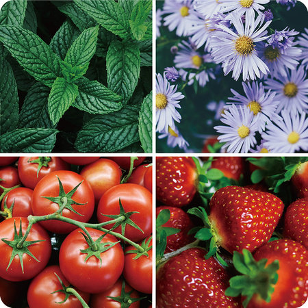 Doniczka do roślin z wyświetlaczem LCD SPGC10S