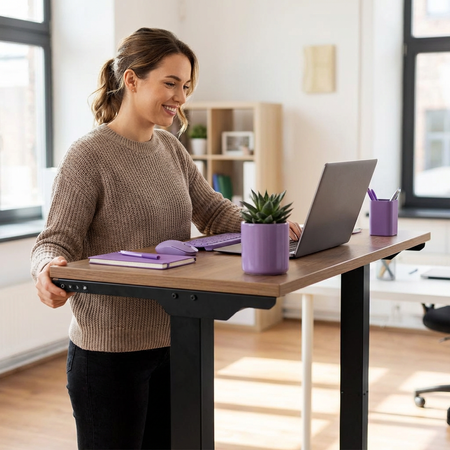 Spacetronik SPE-233B electric desk stand