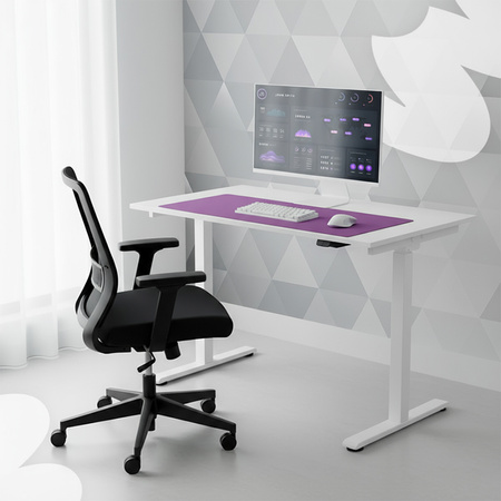 Elektryczne biurko Spacetronik Moris Flex 100x60WW