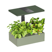 Plant pot with LCD display SPGC20AV