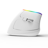 Kabellose vertikale Maus Delux M618C RGB weiß