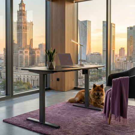 Elektryczne biurko Spacetronik Moris 125DB 120x60