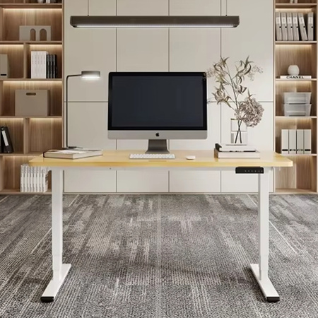 Elektryczny stelaż biurkowy Spacetronik SPE-224RD