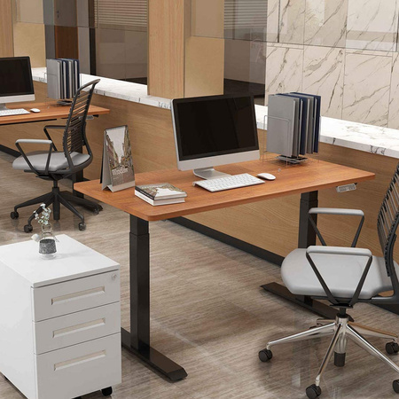 Electric desk stand SPE-214RB