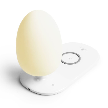 Desk lamp inductive charging USB-C SR301