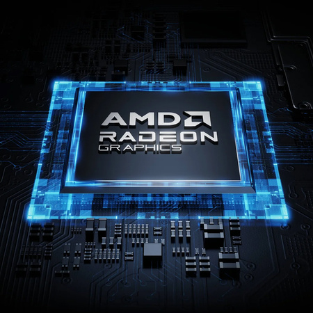 Minisforum NAS N5 Pro Ryzen AI 9HX, 32+128