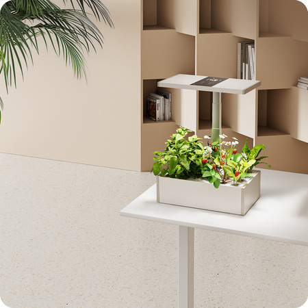 Doniczka do roślin z wyświetlaczem LCD SPGC20WL