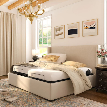 Spacetronik Dozee03 electric bed frame