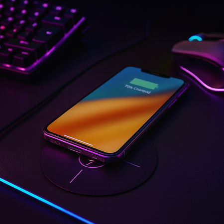 Gniazdo blatowe Spacetronik SPSRW01BB