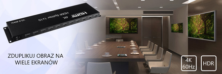 HDMI 1x10 SPH-RS110_V20 4K 60 Hz HDR splitter