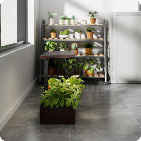 Doniczka do roślin z wyświetlaczem LCD SPGC20AV