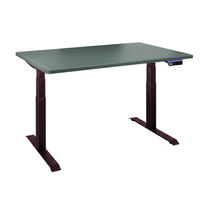 Elektryczny stelaż biurkowy Spacetronik SPE-232OB