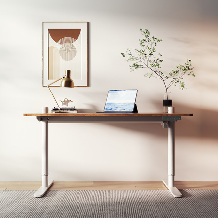 Spacetronik Moris SPE-O121 120x60 electric desk, White frame, Light wood top