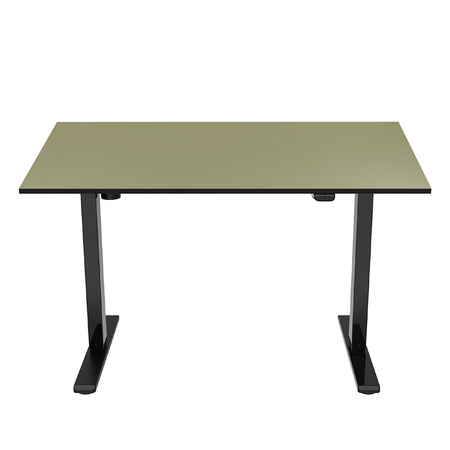 Universal desk top 120x60x18 cm Pistachio