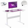 Mobile Dual-Motor Sit-Stand Desk