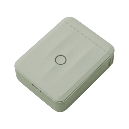 Niimbot D110 grüner Etikettendrucker