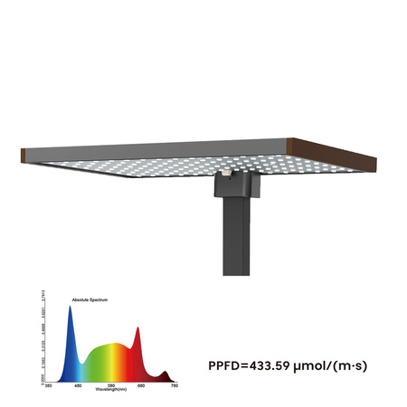 Doniczka do roślin z wyświetlaczem LCD SPGC20AV