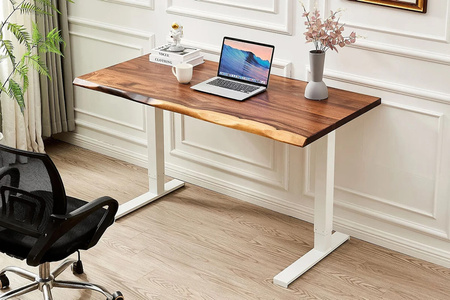 Spacetronik SPE-221OW electric desk stand