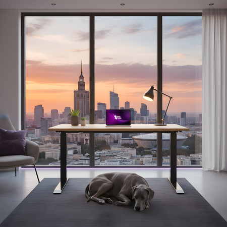 Spacetronik SPE-233B electric desk stand