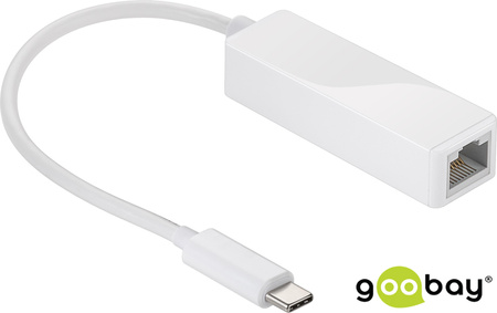 Goobay USB-C to DVI socket adapter