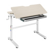 Spacetronik XD adjustable desk SPE-X104WL 100x60