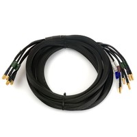 GSM cable Poynting 5-in-1 CAB-119 3xSMA 2xRP SMA 3m