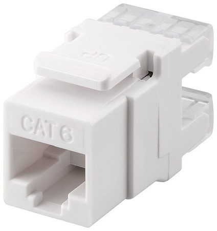 Keystone connector RJ45 CAT 6 UTP 250MHz