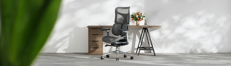 Springle 22 swivel office chair Black