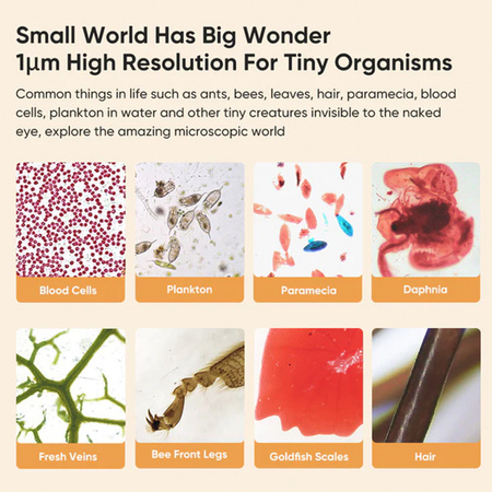 Digitales Mikroskop mit 2MP RGB 20-100x LED Bildschirm