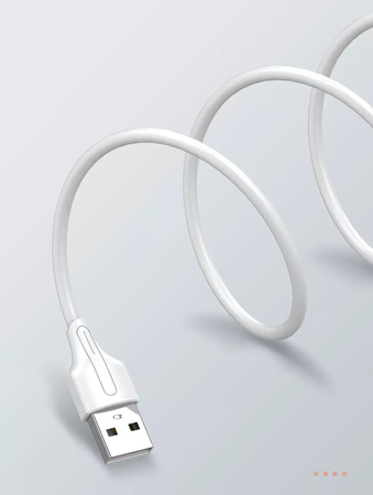 LDNIO USB-A - Lightning cable 3m 24A white LS543L