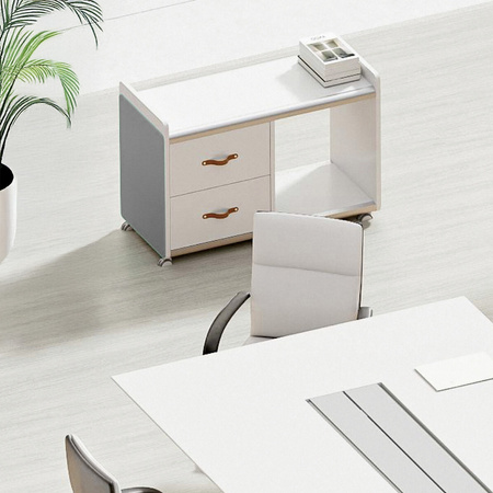 Szafka z kółkami na dokumenty Spacetronik Frodi