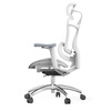 Doris 30 Grey swivel office chair