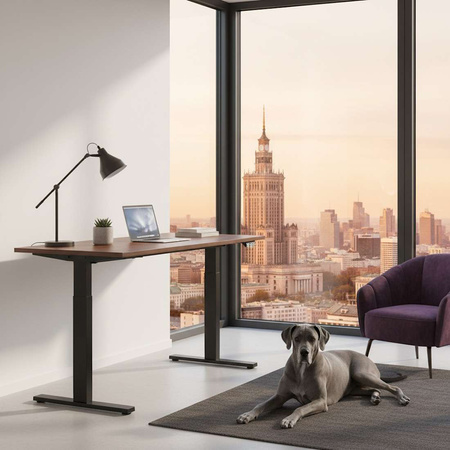 Electric desk rack SPE-121B 110cm