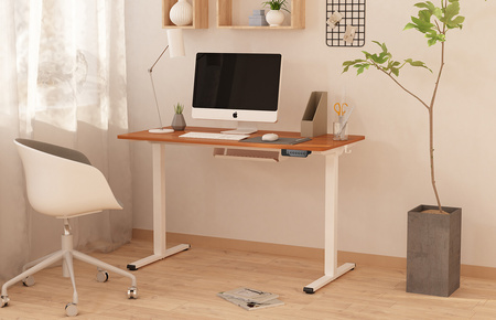 Spacetronik Moris 124BB 100x60 electric desk
